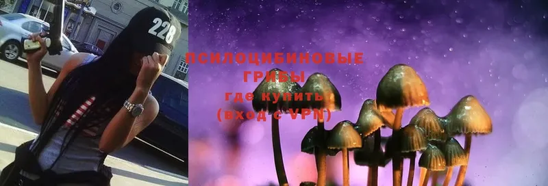 Псилоцибиновые грибы MAGIC MUSHROOMS  закладка  Курильск 